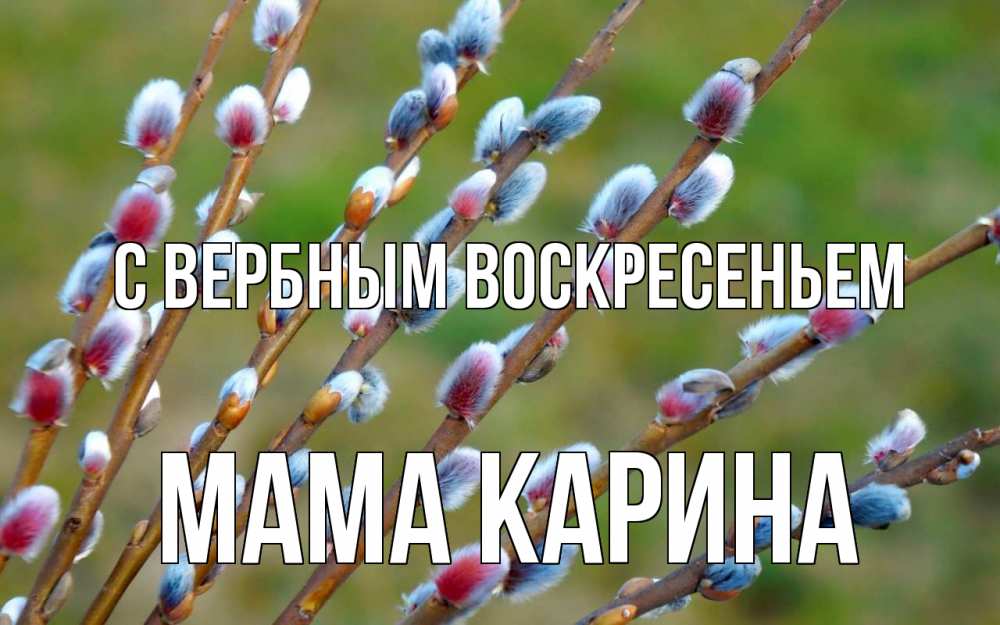 Открытка на каждый день с именем, Мама-Карина С вербным воскресеньем верба Прикольная открытка с пожеланием онлайн скачать бесплатно 