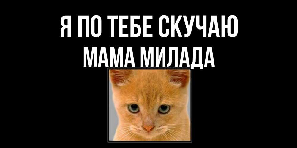 Открытка на каждый день с именем, Мама-Милада Я по тебе скучаю открытки рыжий котенок скучает по тебе Прикольная открытка с пожеланием онлайн скачать бесплатно 