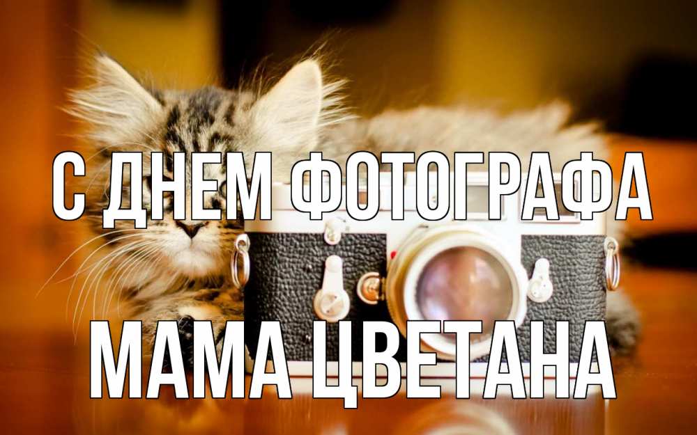 Открытка на каждый день с именем, Мама-Цветана С днем фотографа с днем фотографа Прикольная открытка с пожеланием онлайн скачать бесплатно 