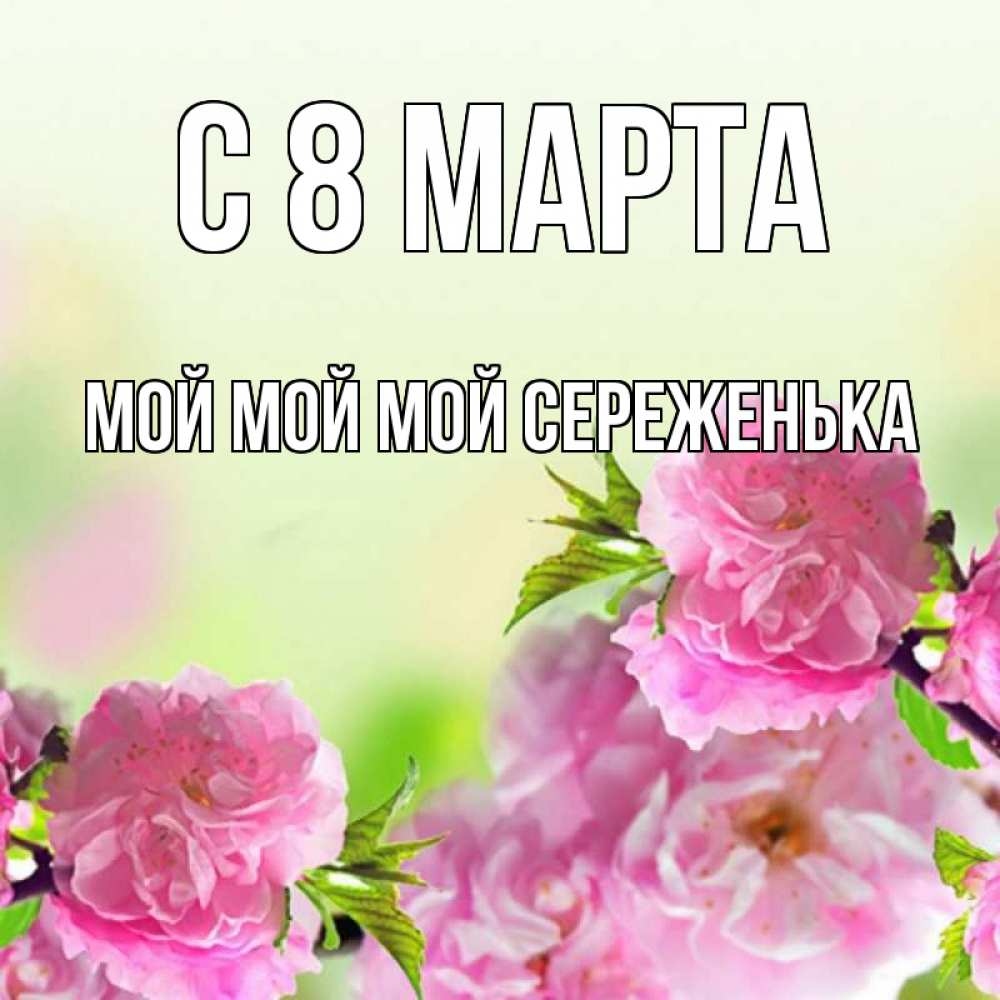 Открытка на каждый день с именем, Мой-мой-мой-Сереженька С 8 марта цветы Прикольная открытка с пожеланием онлайн скачать бесплатно 