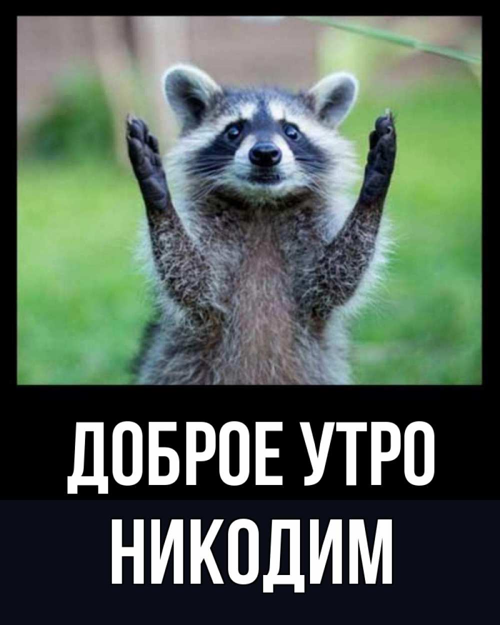 Открытка на каждый день с именем, Никодим Доброе утро хорошее настроение утречком Прикольная открытка с пожеланием онлайн скачать бесплатно 