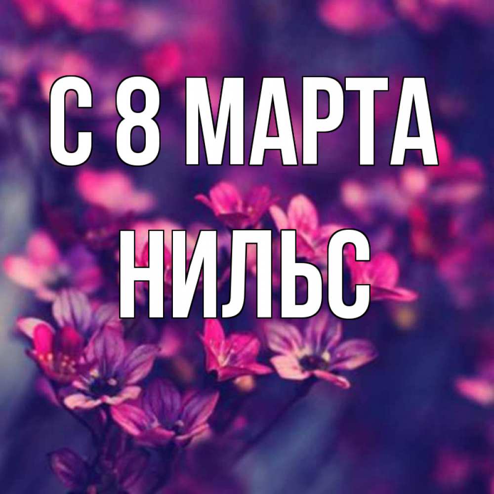 Открытка на каждый день с именем, Нильс С 8 МАРТА небольшие цветы 1 Прикольная открытка с пожеланием онлайн скачать бесплатно 