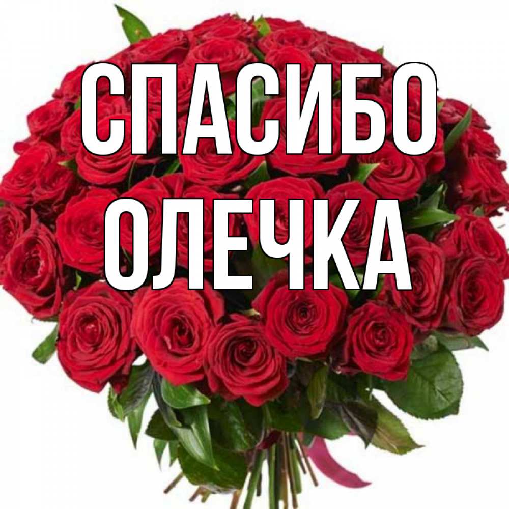 Наталья Спасибо