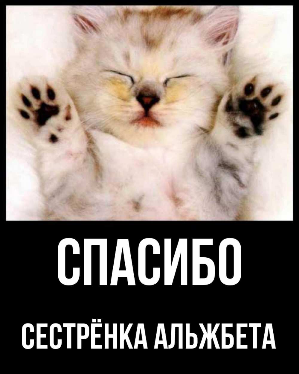 Открытка на каждый день с именем, Сестрёнка-Альжбета Спасибо маленький котенок Прикольная открытка с пожеланием онлайн скачать бесплатно 