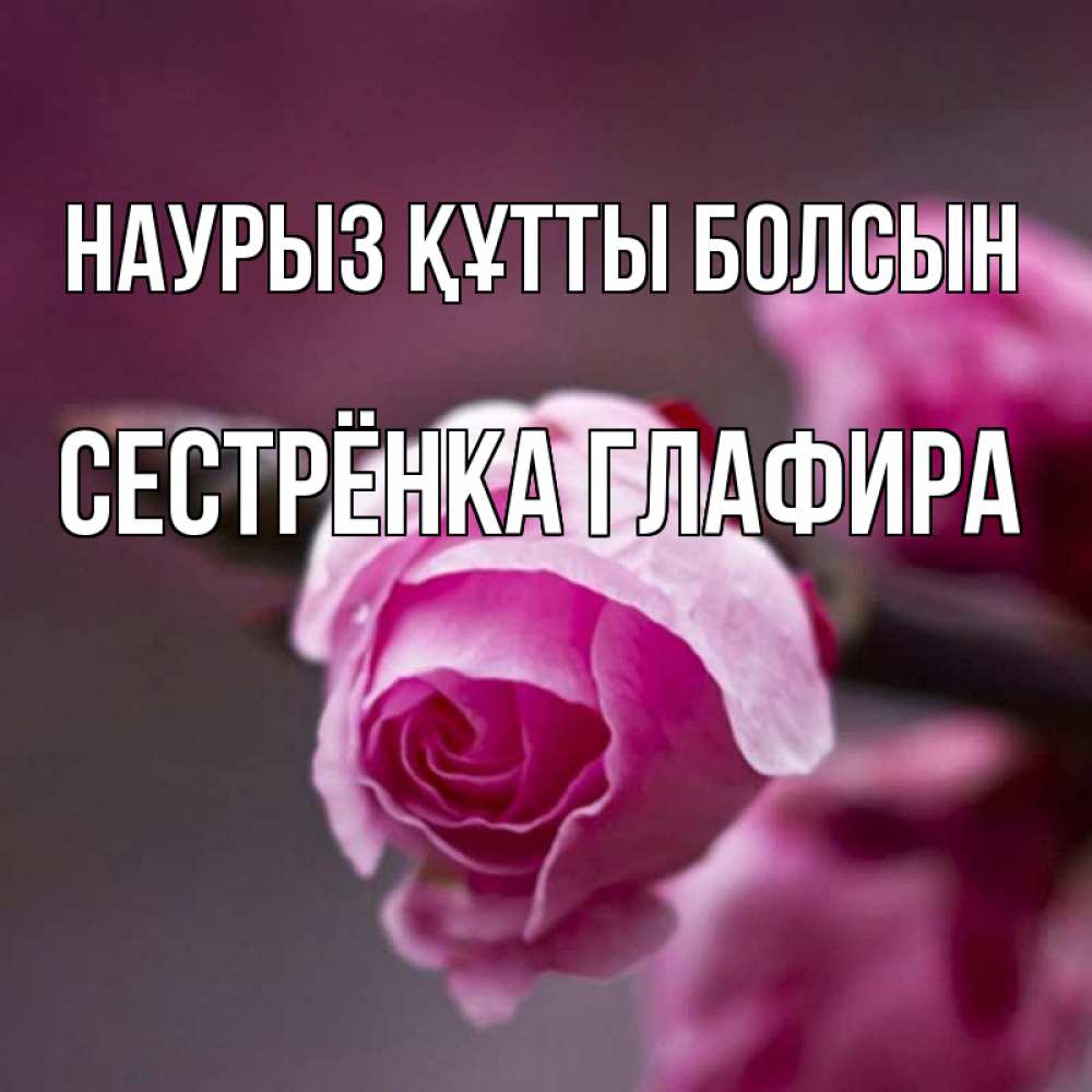 Открытка на каждый день с именем, Сестрёнка-Глафира Наурыз құтты болсын весна Прикольная открытка с пожеланием онлайн скачать бесплатно 