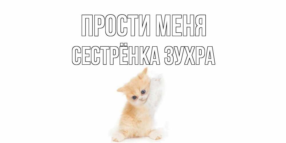Открытка на каждый день с именем, Сестрёнка-Зухра Прости меня кот Прикольная открытка с пожеланием онлайн скачать бесплатно 