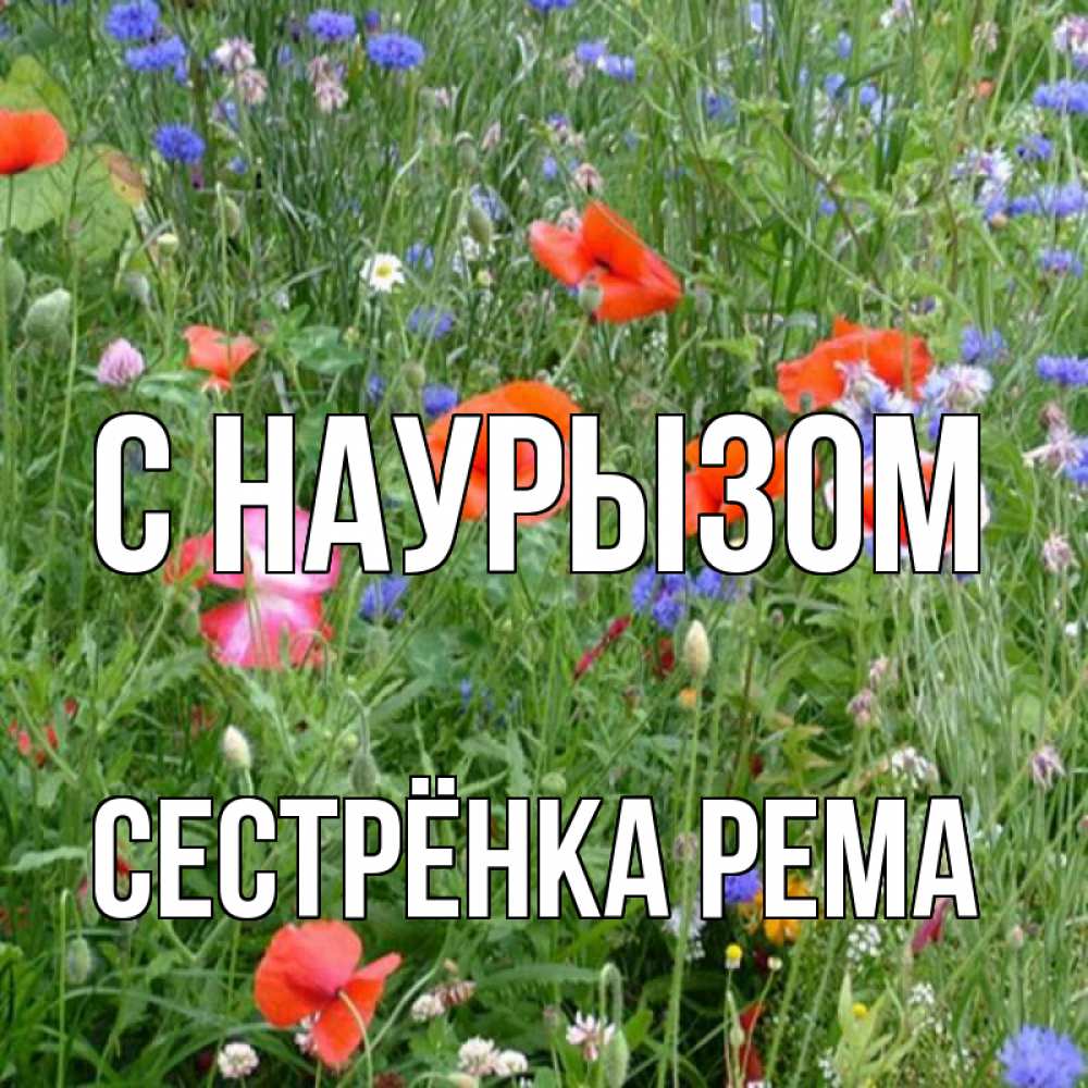 Открытка на каждый день с именем, Сестрёнка-Рема С наурызом праздник весны наурыз супер открытка Прикольная открытка с пожеланием онлайн скачать бесплатно 