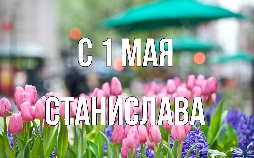 Открытка на каждый день с именем, Станислава С 1 мая С 1 мая Прикольная открытка с пожеланием онлайн скачать бесплатно 