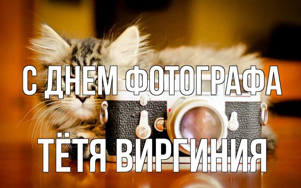 Открытка на каждый день с именем, Тётя-Виргиния С днем фотографа с днем фотографа Прикольная открытка с пожеланием онлайн скачать бесплатно 