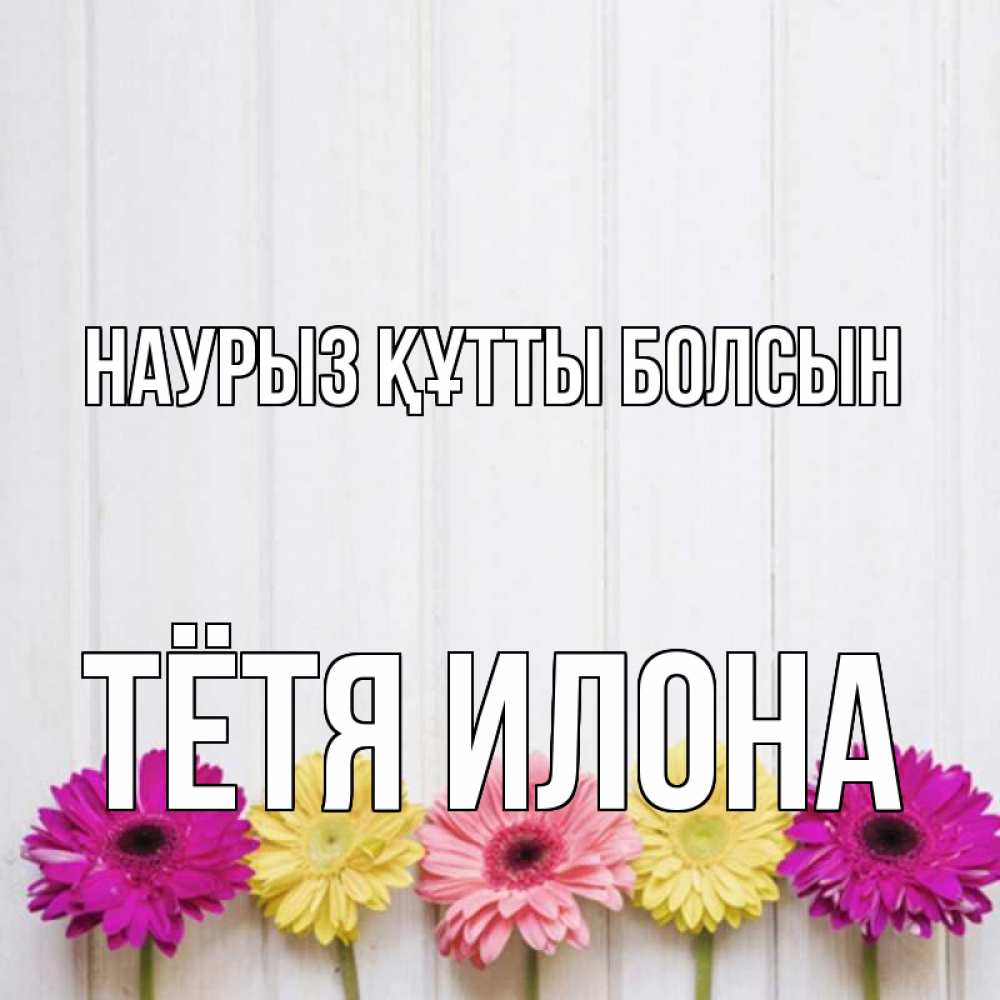 Открытка на каждый день с именем, Тётя-Илона Наурыз құтты болсын женщинам 1 Прикольная открытка с пожеланием онлайн скачать бесплатно 