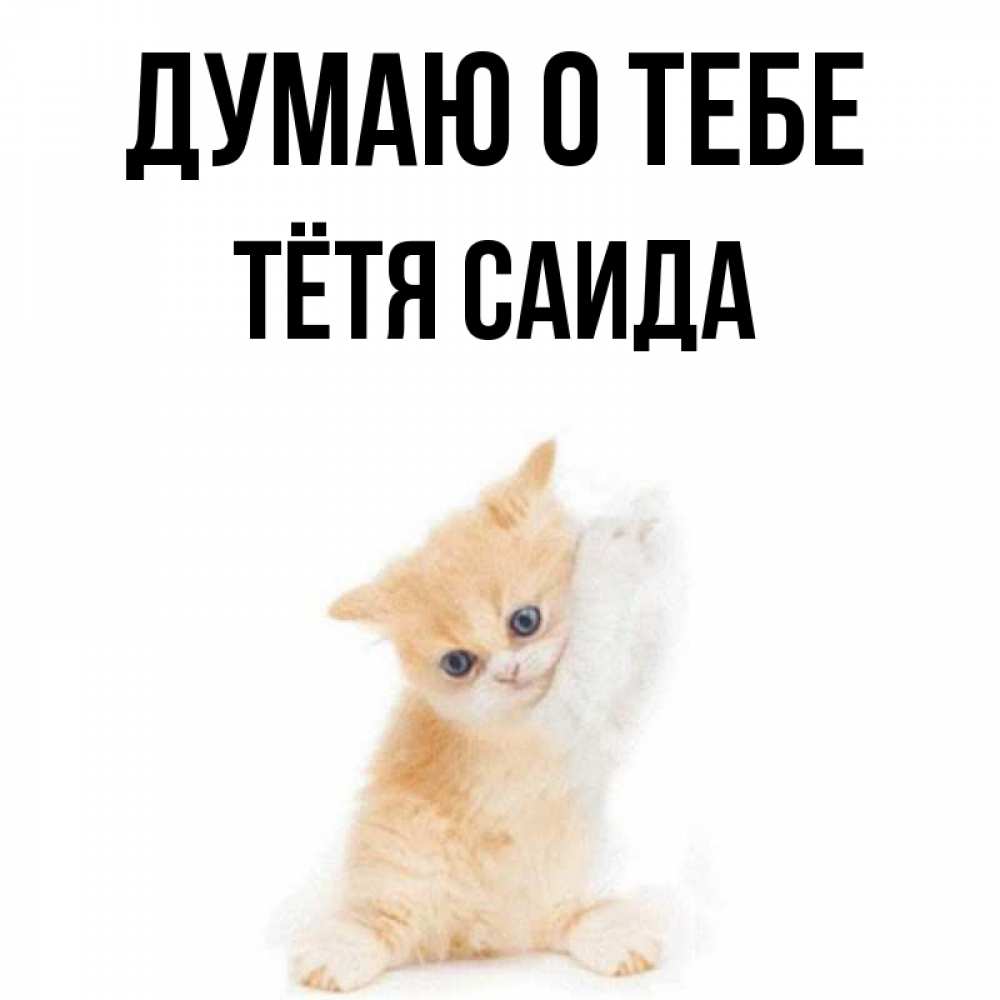 Открытка на каждый день с именем, Тётя-Саида Думаю о тебе зверушки и милота Прикольная открытка с пожеланием онлайн скачать бесплатно 