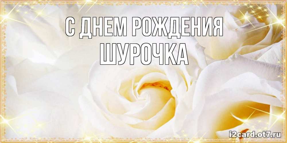 Открытка на каждый день с именем, Шурочка С днем рождения красивые розы и капли росы на этих чудесных цветах Прикольная открытка с пожеланием онлайн скачать бесплатно 