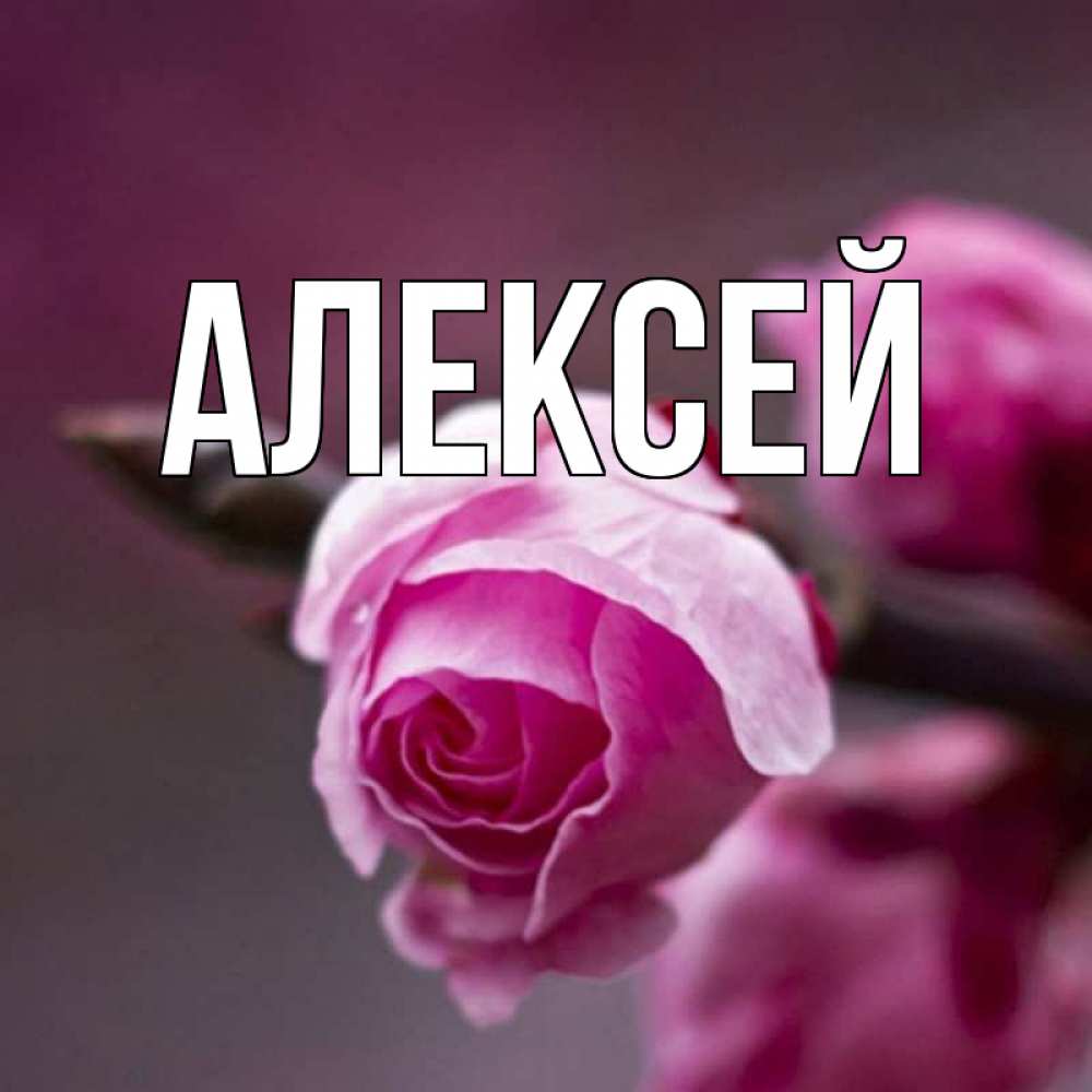 Открытки с именем алексей, днем курбан-байрам