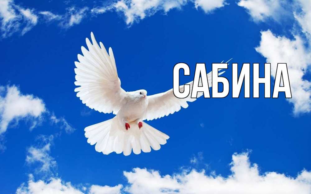 Открытка на каждый день с именем, Сабина Главная С 1 мая 1 Прикольная открытка с пожеланием онлайн скачать бесплатно 