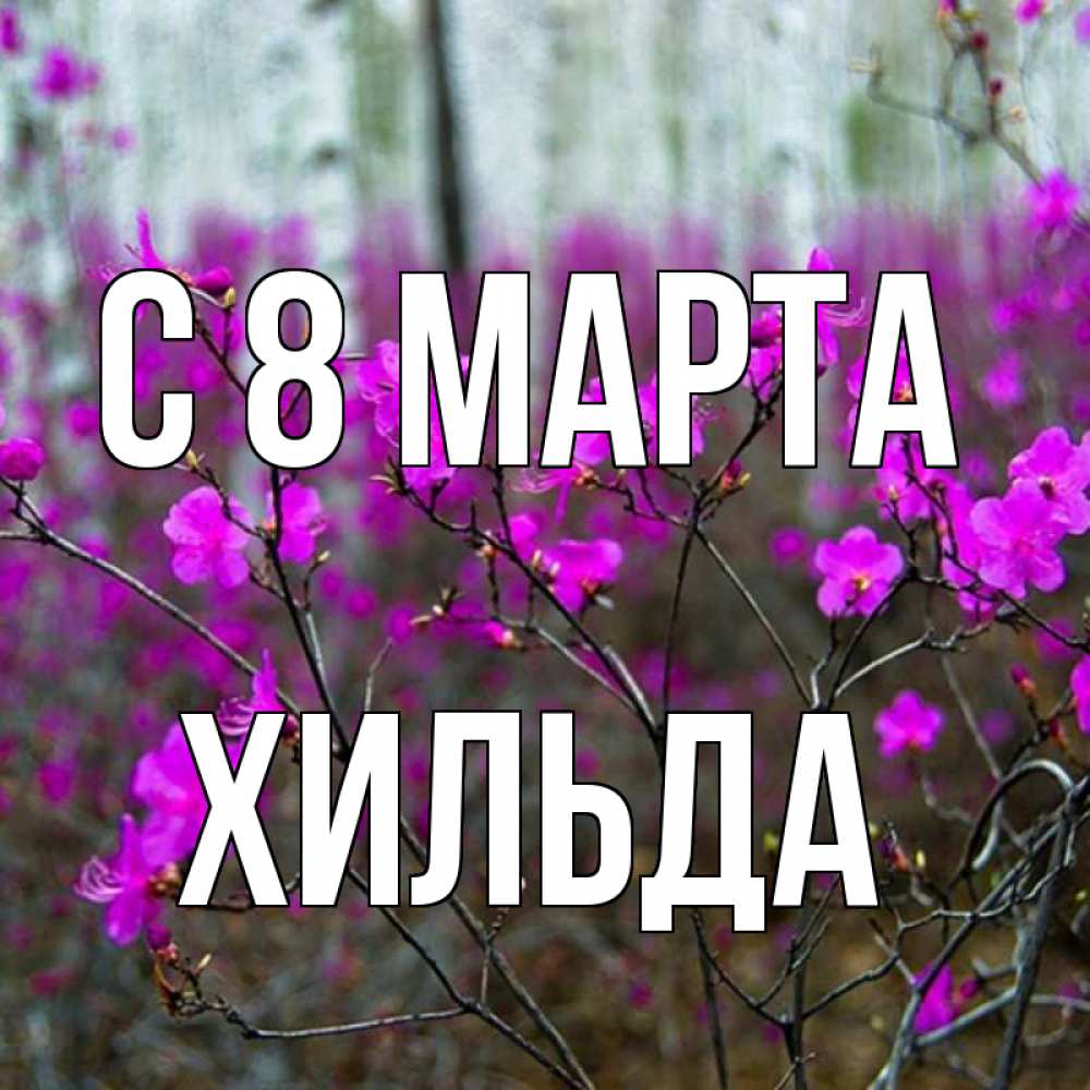 Открытка на каждый день с именем, Хильда С 8 МАРТА дикие цветы Прикольная открытка с пожеланием онлайн скачать бесплатно 