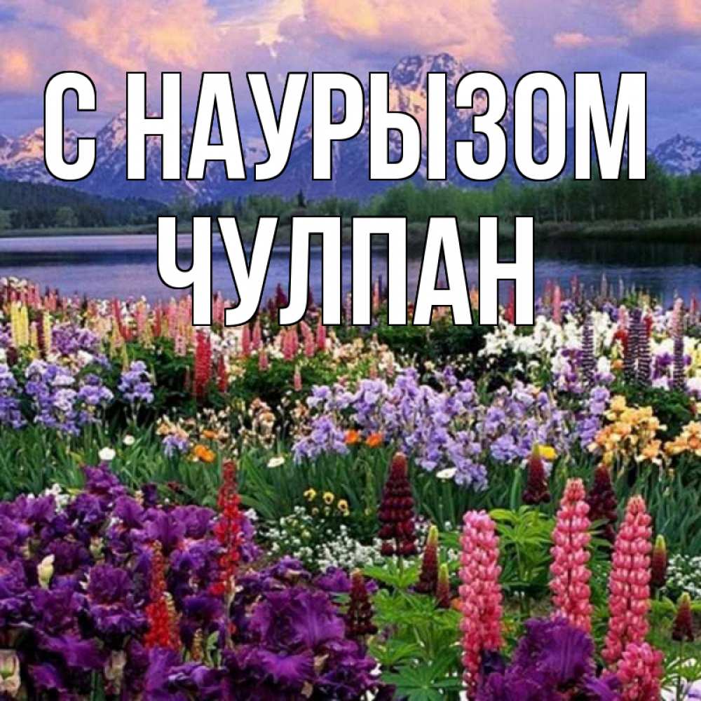 Открытка на каждый день с именем, Чулпан С наурызом праздник весны наурыз Прикольная открытка с пожеланием онлайн скачать бесплатно 