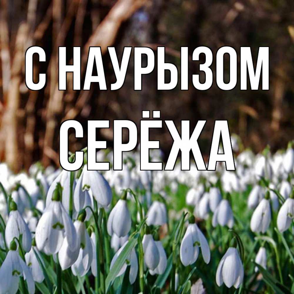 Картинка С наурызом, Серёжа