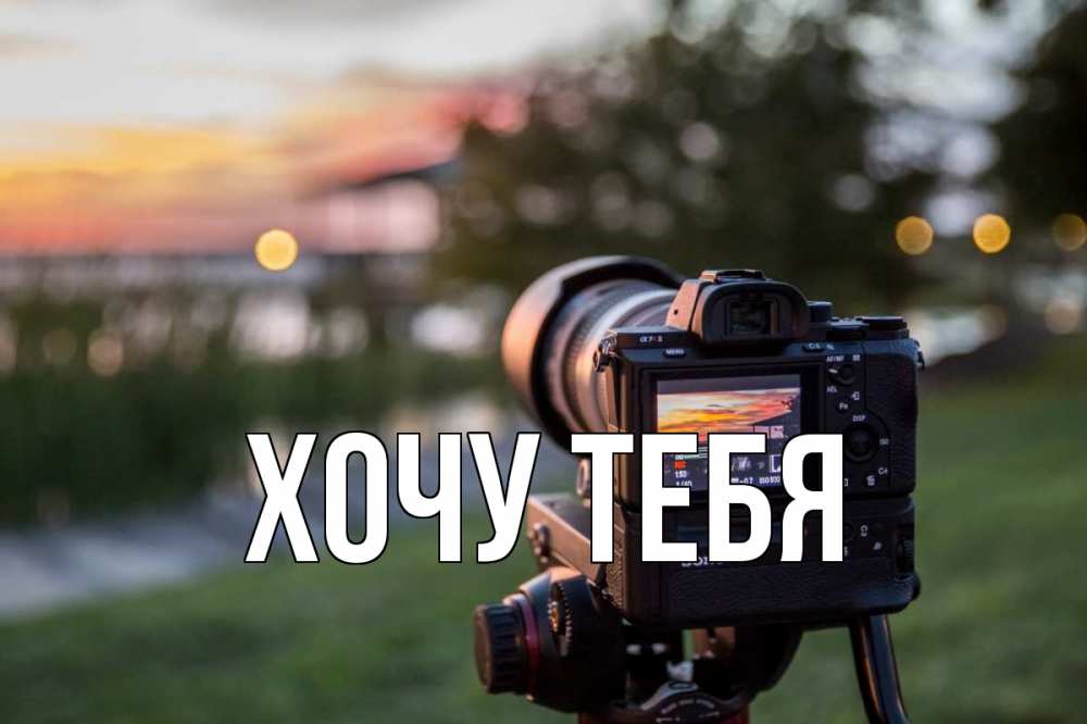 Открытка на каждый день с именем, Хочу-тебя Главная с днем фотографа Прикольная открытка с пожеланием онлайн скачать бесплатно 