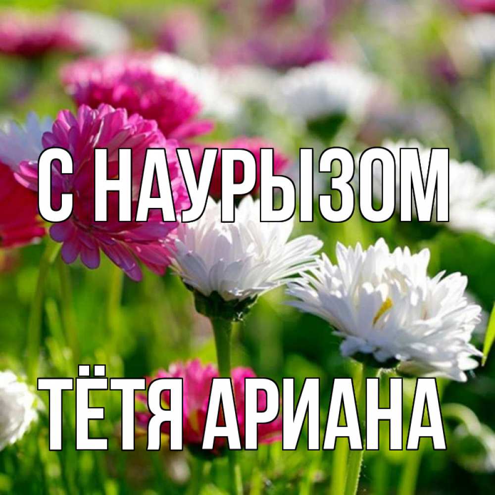 Открытка на каждый день с именем, Тётя-Ариана С наурызом праздник весны наурыз красота Прикольная открытка с пожеланием онлайн скачать бесплатно 