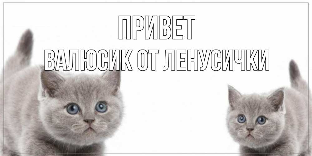 Женщина мужчина, открытки привет макс