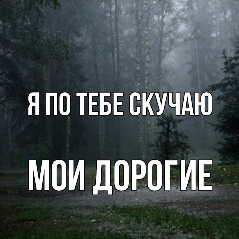 часть ты скучаешь по мне мой дорогой картинки счет приближенности натуральности