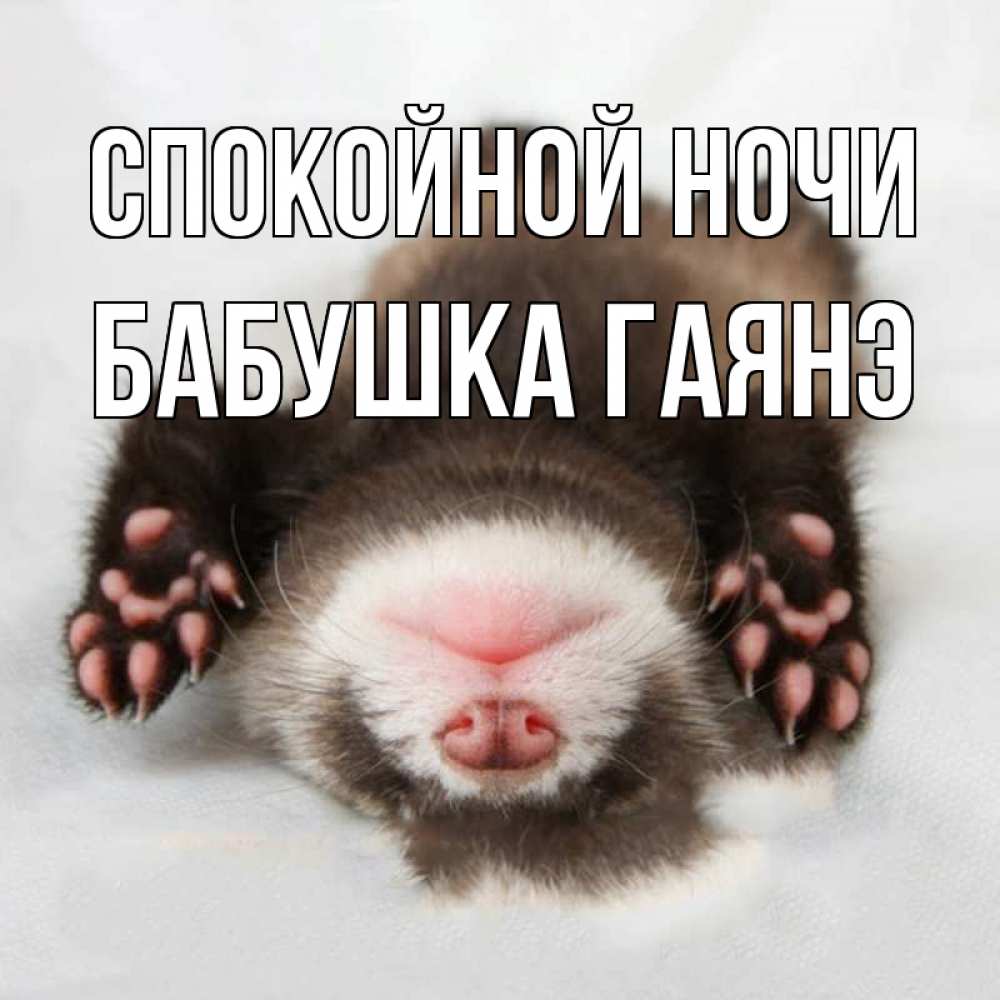 Открытка на каждый день с именем, Бабушка-Гаянэ Спокойной ночи зверек Прикольная открытка с пожеланием онлайн скачать бесплатно 
