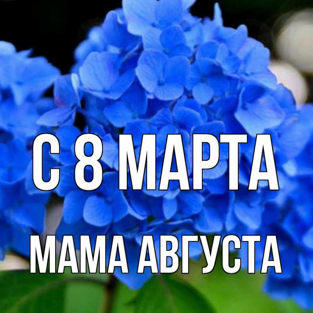 Открытка на каждый день с именем, Мама-Августа С 8 МАРТА синие цветы Прикольная открытка с пожеланием онлайн скачать бесплатно 