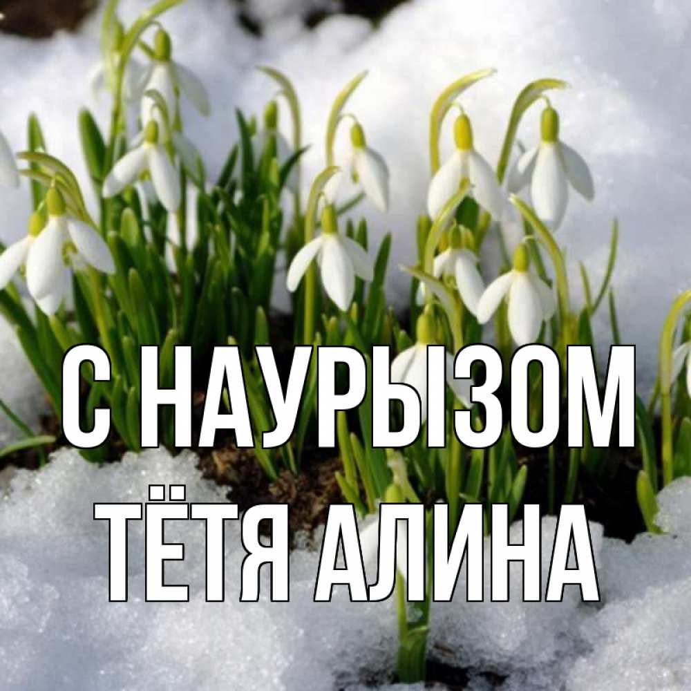 Открытка на каждый день с именем, Тётя-Алина С наурызом цветы весенние Прикольная открытка с пожеланием онлайн скачать бесплатно 