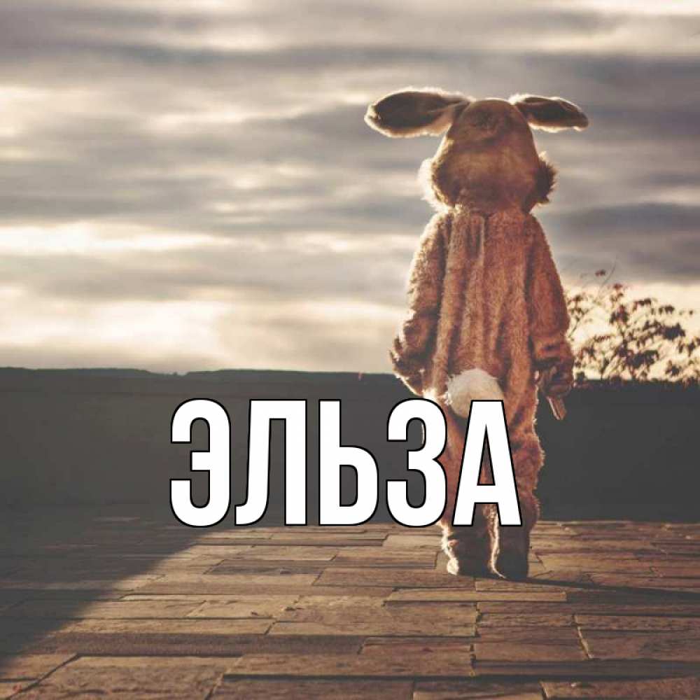 Картинка  с именем , Эльза