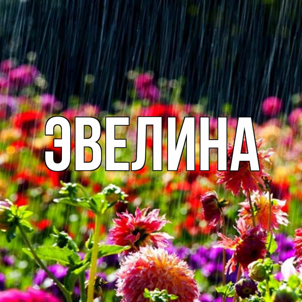 Смешные картинки эвелина