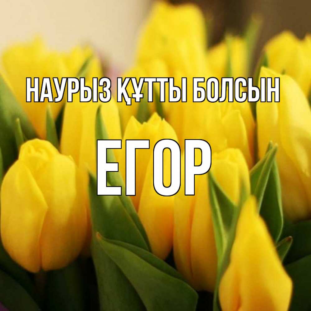 Открытка на каждый день с именем, Егор Наурыз құтты болсын цветы Прикольная открытка с пожеланием онлайн скачать бесплатно 