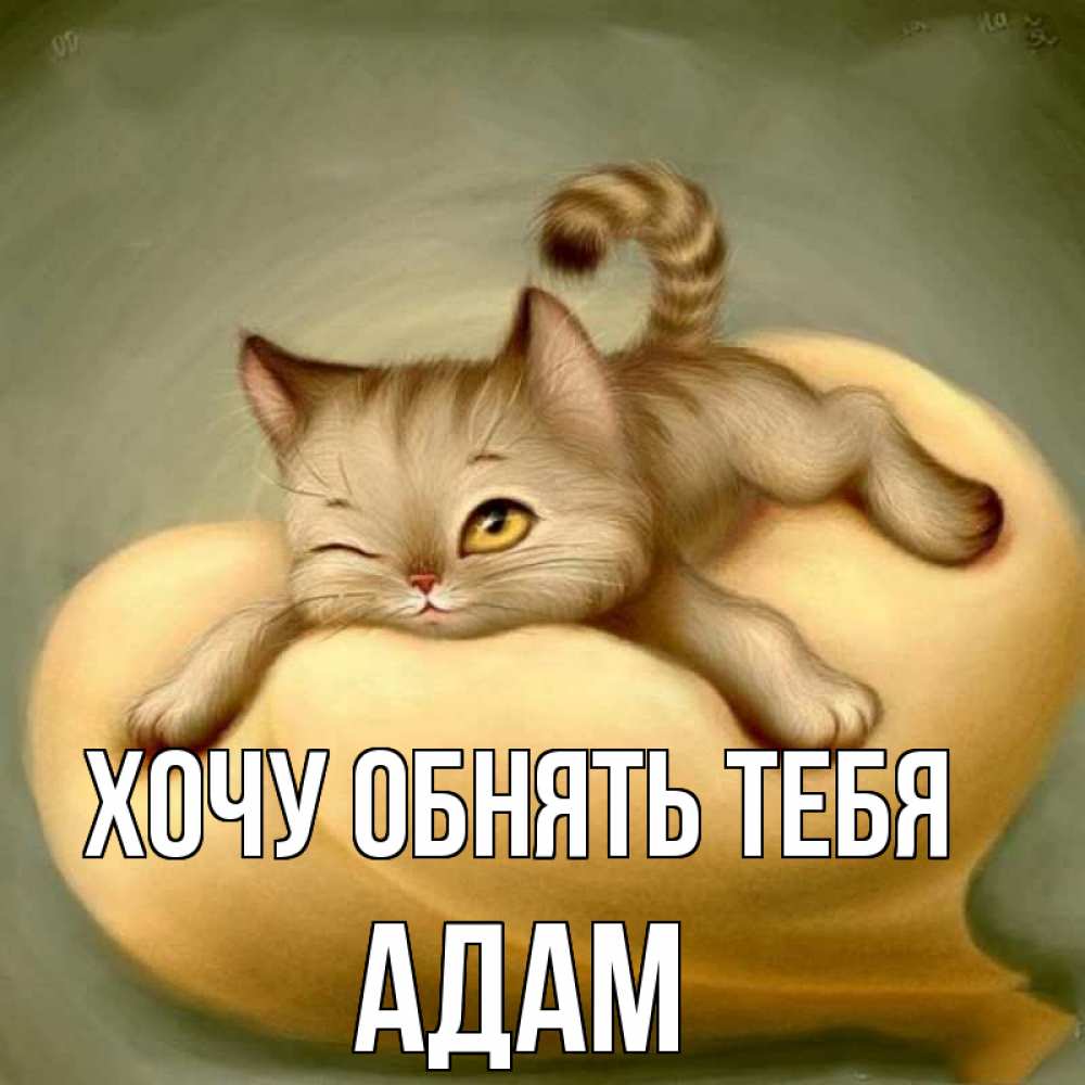 Открытка на каждый день с именем, Адам Хочу обнять тебя кошечка Прикольная открытка с пожеланием онлайн скачать бесплатно 
