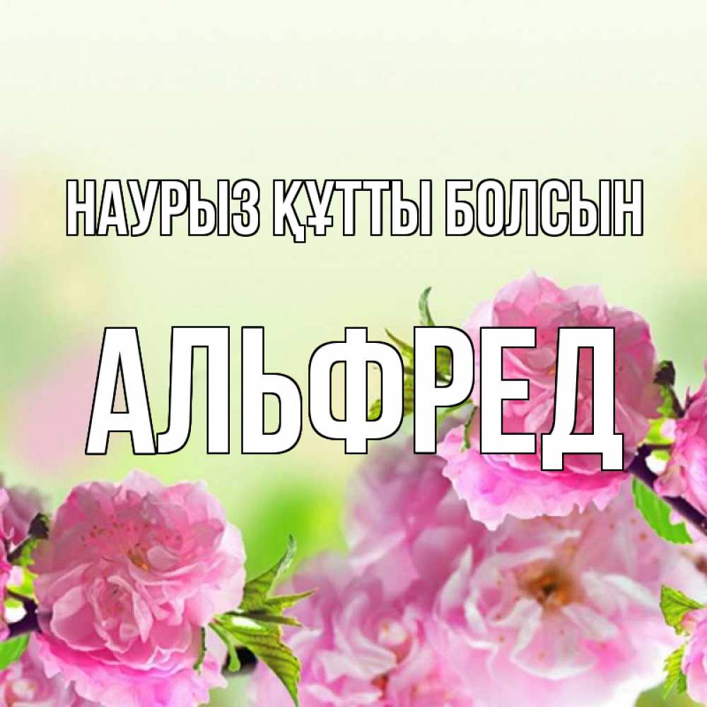 Открытка на каждый день с именем, Альфред Наурыз құтты болсын цветы Прикольная открытка с пожеланием онлайн скачать бесплатно 