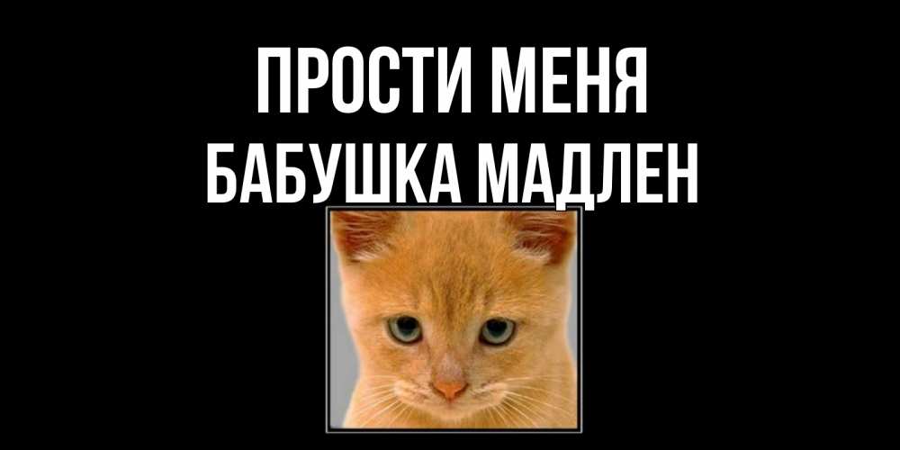 Открытка на каждый день с именем, Бабушка-Мадлен Прости меня рыжий грустный кот просит прощения Прикольная открытка с пожеланием онлайн скачать бесплатно 