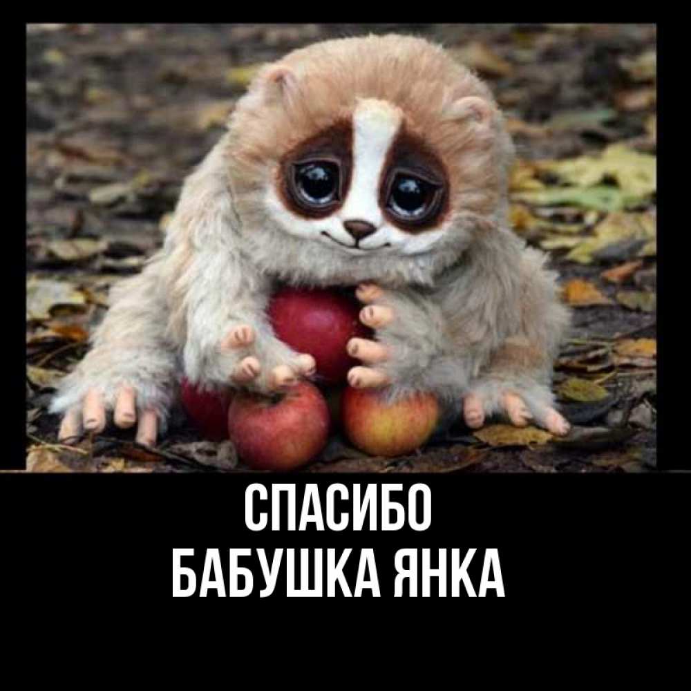 Открытка на каждый день с именем, Бабушка-Янка Спасибо прикольное животное Прикольная открытка с пожеланием онлайн скачать бесплатно 