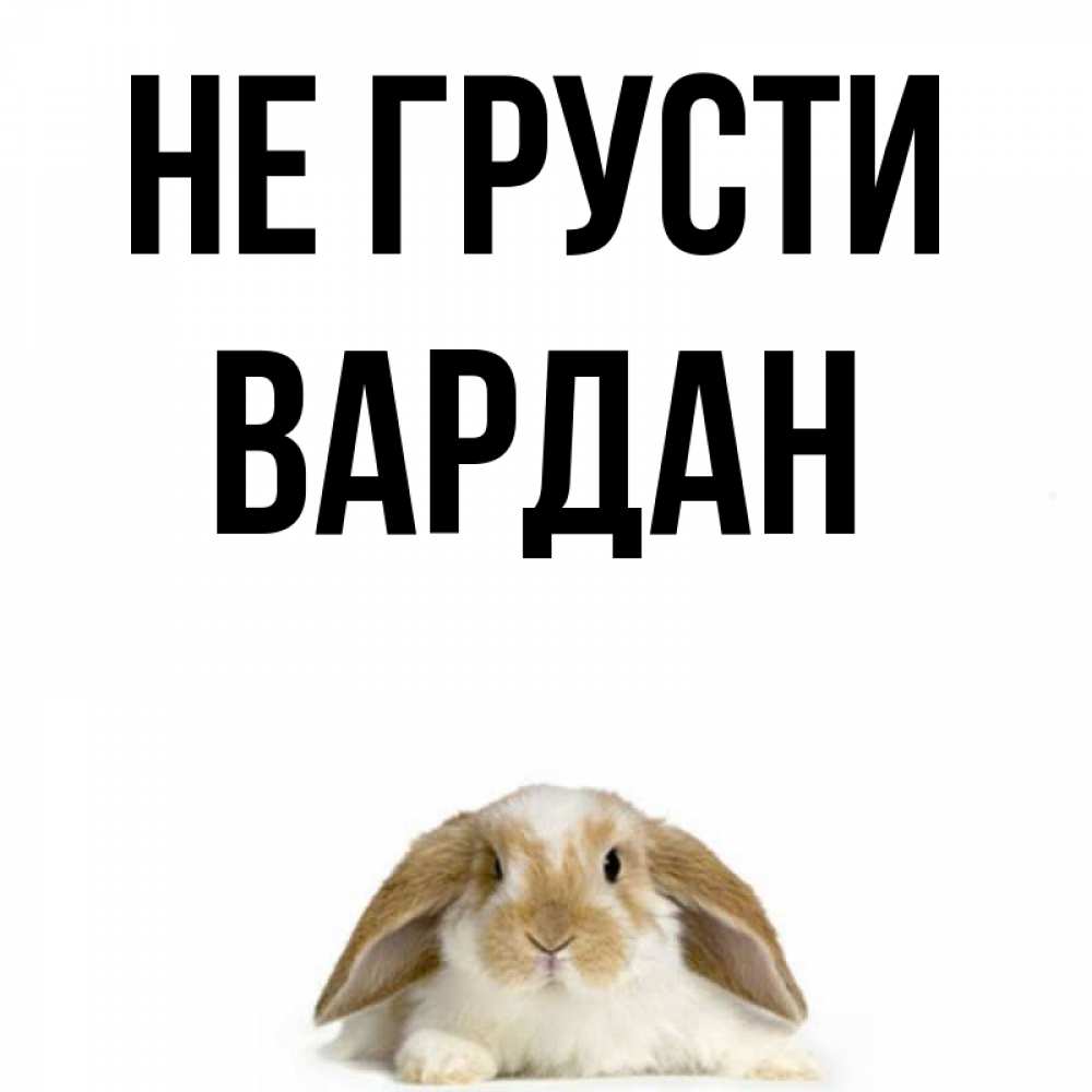 Открытка на каждый день с именем, Вардан Не грусти коричнево белый заяц с большими ушками Прикольная открытка с пожеланием онлайн скачать бесплатно 