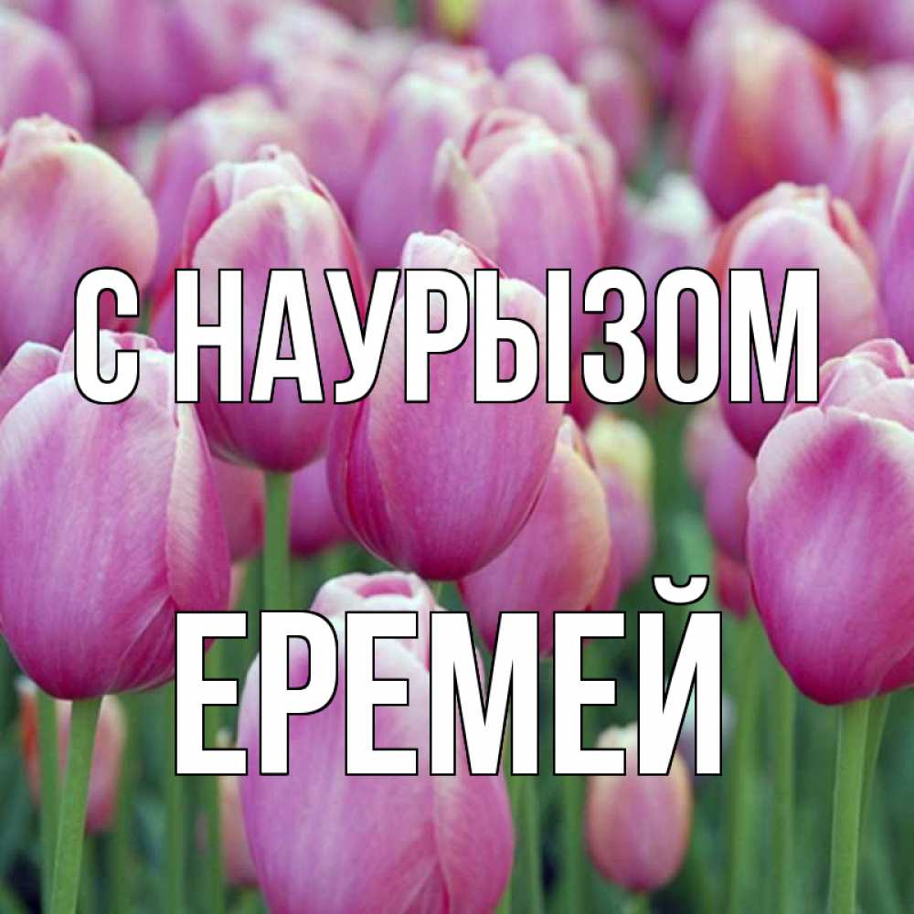 Открытка на каждый день с именем, Еремей С наурызом праздник весны наурыз 69 Прикольная открытка с пожеланием онлайн скачать бесплатно 