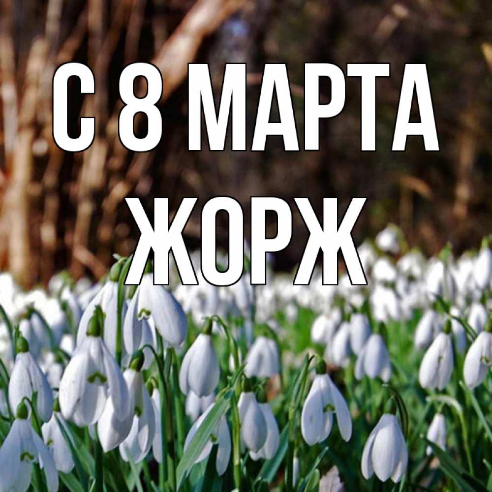 Открытка на каждый день с именем, Жорж С 8 МАРТА с подснежниками 1 Прикольная открытка с пожеланием онлайн скачать бесплатно 