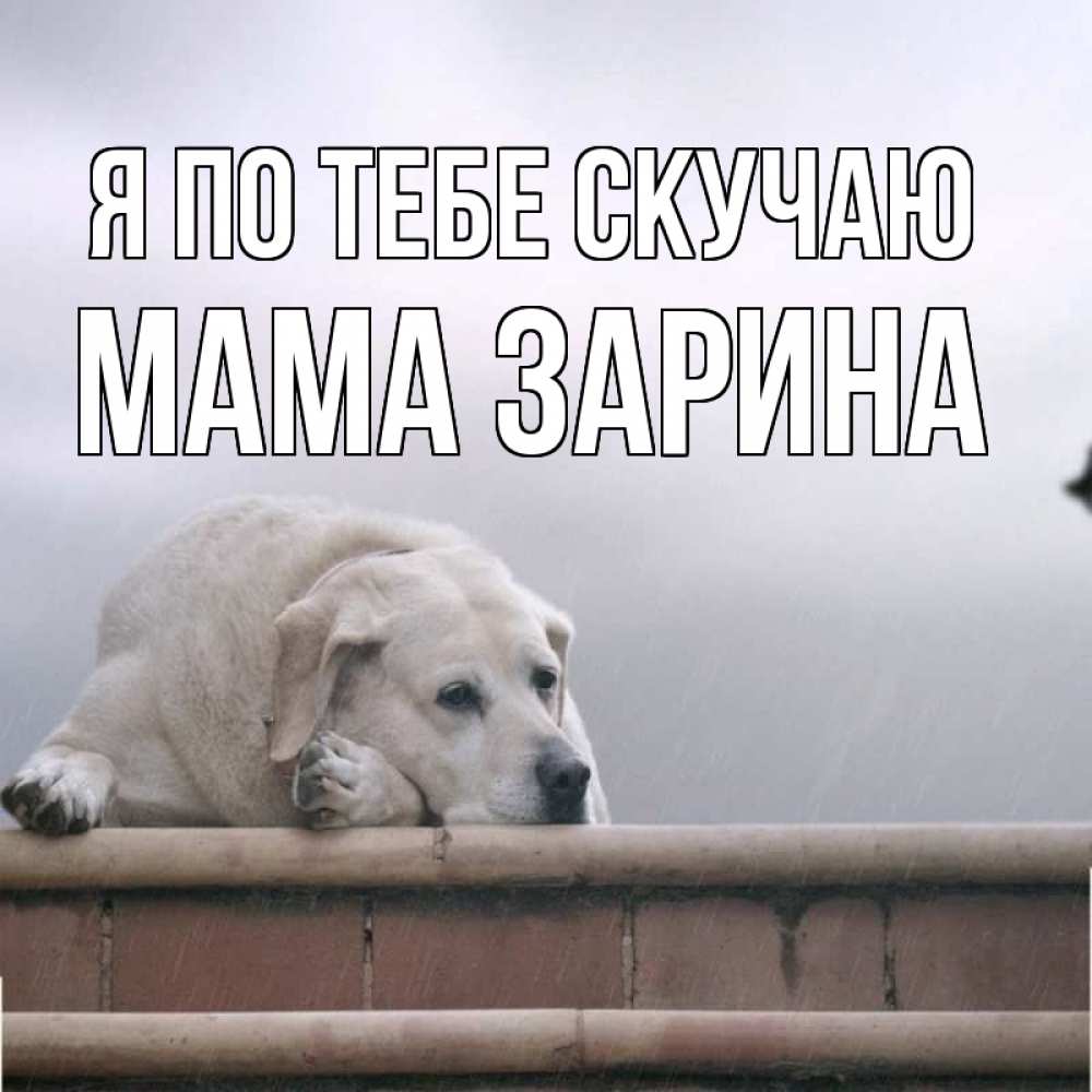 Открытка на каждый день с именем, Мама-Зарина Я по тебе скучаю ждет Прикольная открытка с пожеланием онлайн скачать бесплатно 