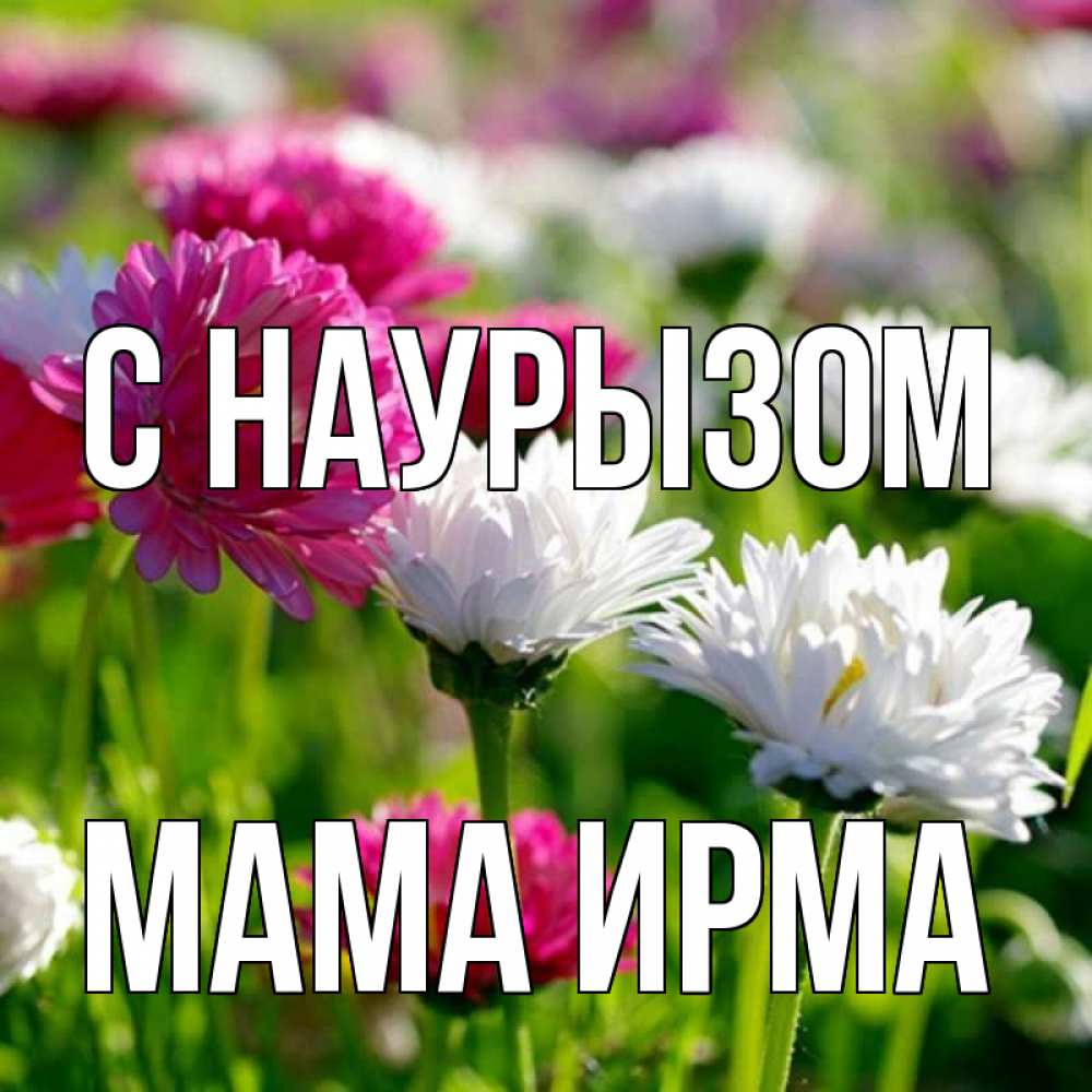 Открытка на каждый день с именем, Мама-Ирма С наурызом праздник весны наурыз красота Прикольная открытка с пожеланием онлайн скачать бесплатно 