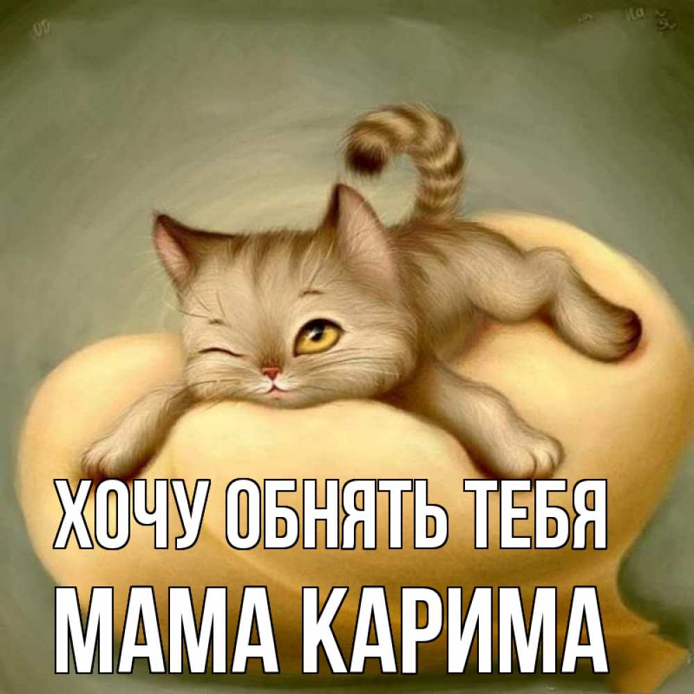Открытка на каждый день с именем, Мама-Карима Хочу обнять тебя кошечка Прикольная открытка с пожеланием онлайн скачать бесплатно 