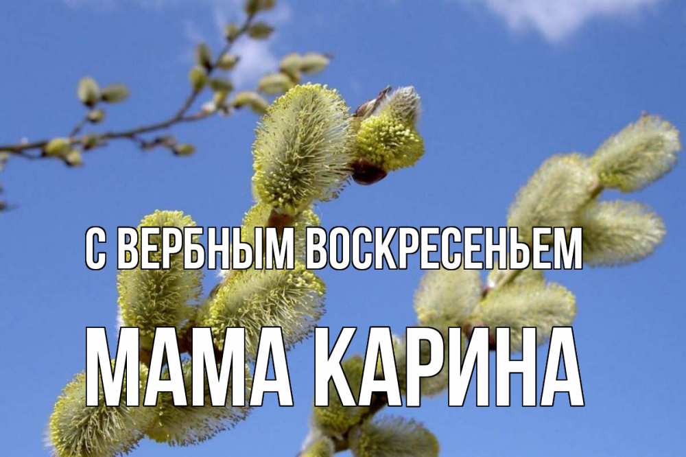 Открытка на каждый день с именем, Мама-Карина С вербным воскресеньем верба Прикольная открытка с пожеланием онлайн скачать бесплатно 
