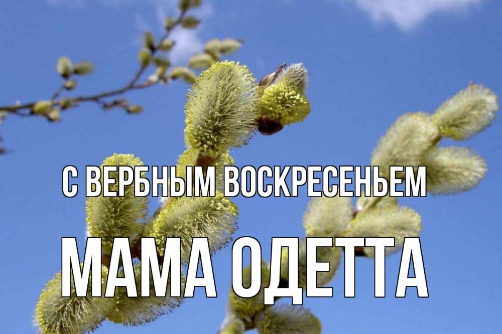 Открытка на каждый день с именем, Мама-Одетта С вербным воскресеньем верба Прикольная открытка с пожеланием онлайн скачать бесплатно 