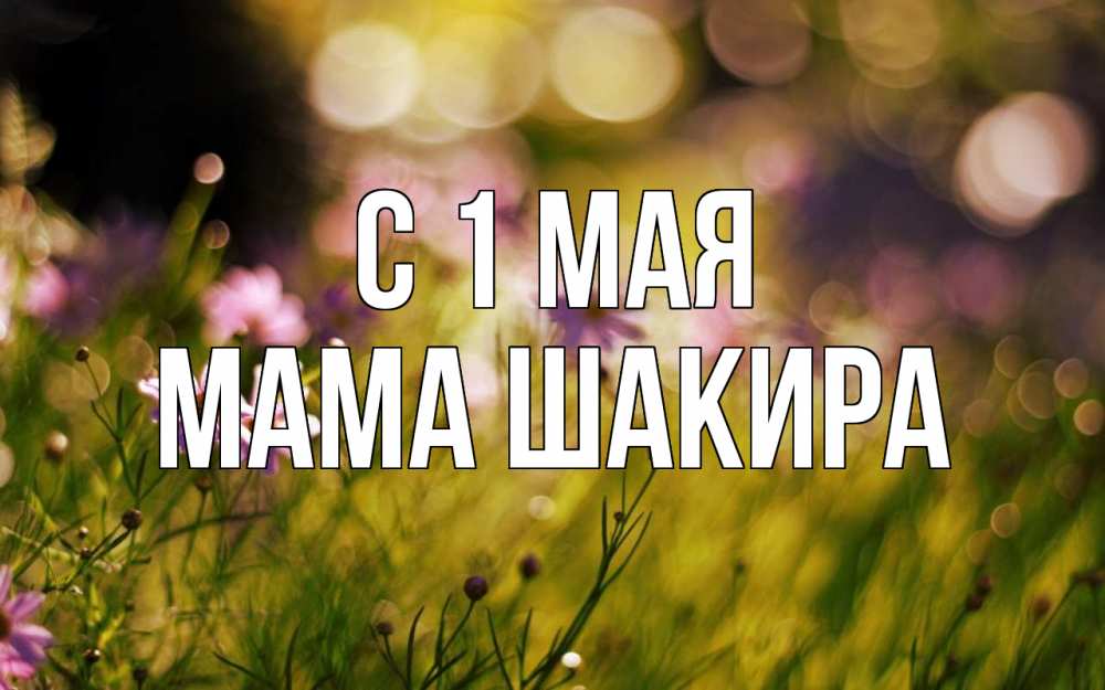 Открытка на каждый день с именем, Мама-Шакира С 1 мая С 1 мая Прикольная открытка с пожеланием онлайн скачать бесплатно 