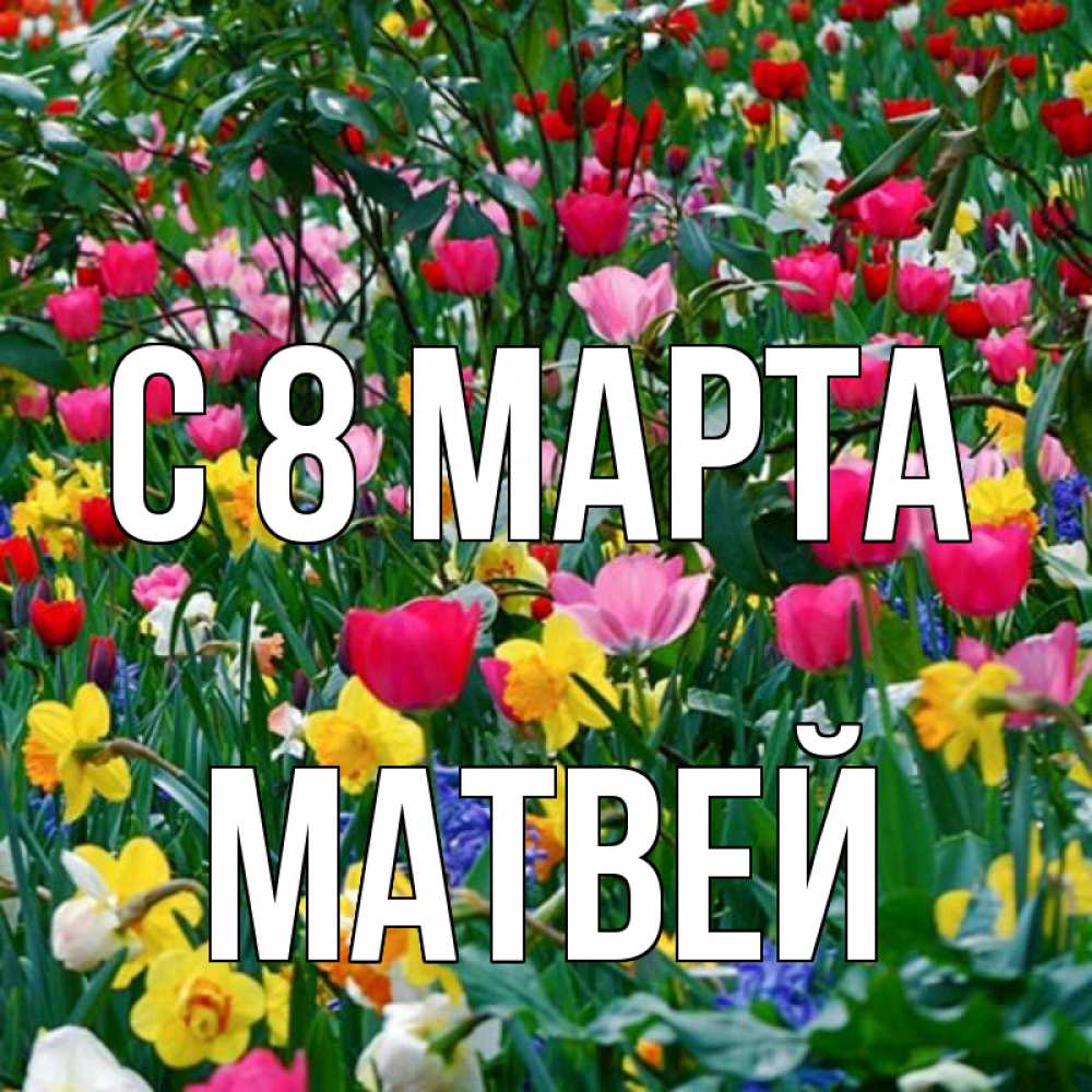 Открытка на каждый день с именем, Матвей С 8 МАРТА с международным женским днем поздравления для женщины Прикольная открытка с пожеланием онлайн скачать бесплатно 