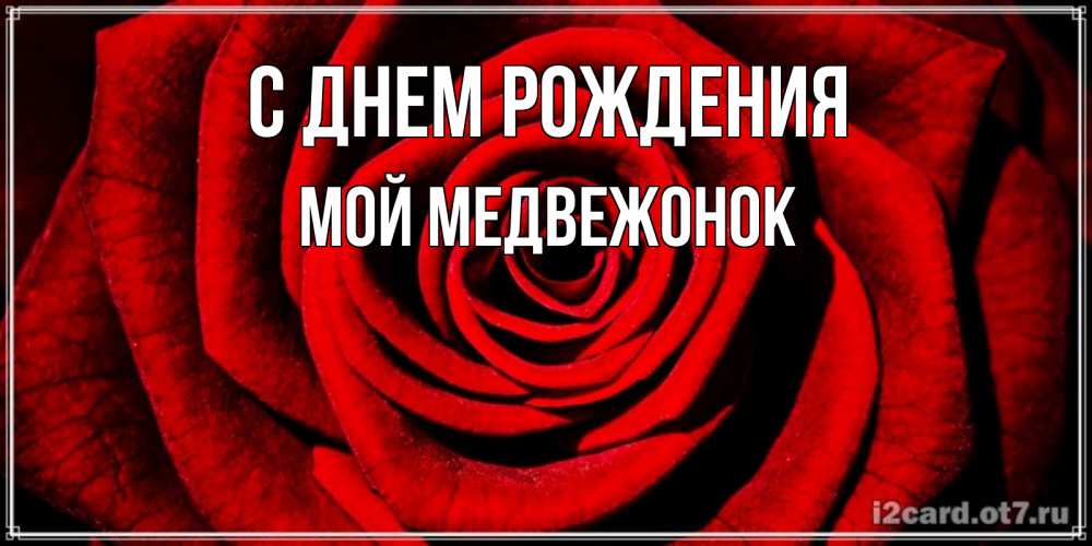Открытка на каждый день с именем, Мой-Медвежонок С днем рождения алая роза Прикольная открытка с пожеланием онлайн скачать бесплатно 