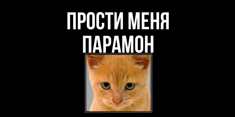 Открытка на каждый день с именем, Парамон Прости меня рыжий грустный кот просит прощения Прикольная открытка с пожеланием онлайн скачать бесплатно 