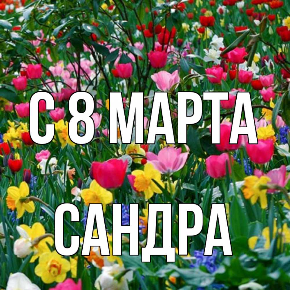 Открытка на каждый день с именем, Сандра С 8 МАРТА с международным женским днем поздравления для женщины Прикольная открытка с пожеланием онлайн скачать бесплатно 