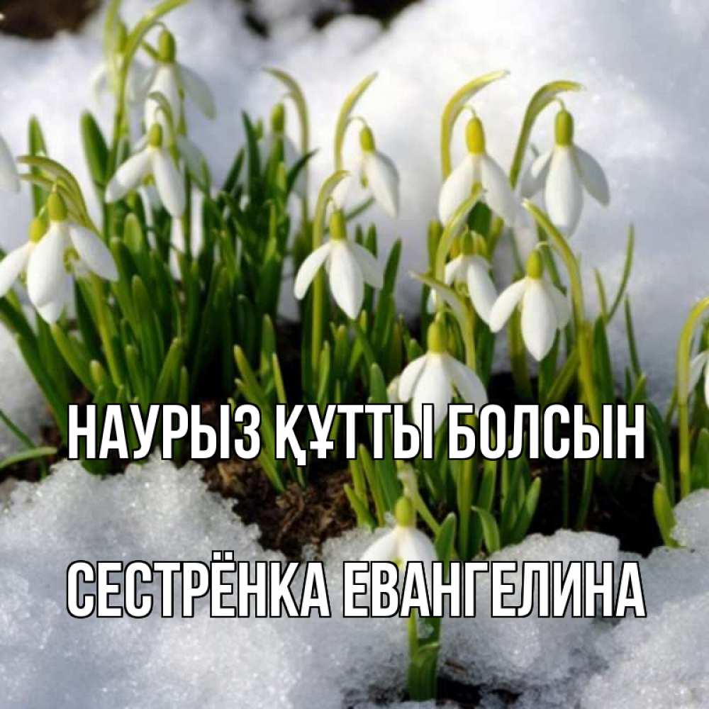 Открытка на каждый день с именем, Сестрёнка-Евангелина Наурыз құтты болсын цветы весенние Прикольная открытка с пожеланием онлайн скачать бесплатно 
