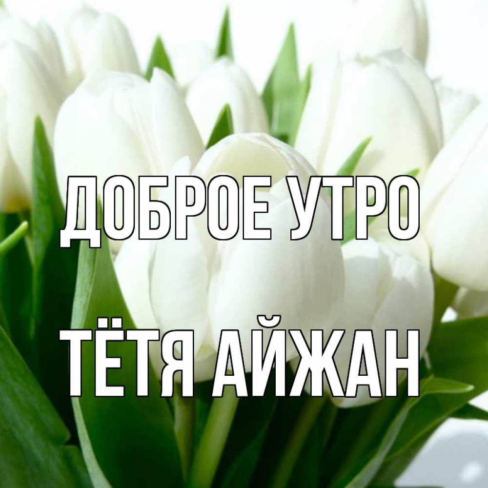 Открытка на каждый день с именем, Тётя-Айжан Доброе утро открытки на каждый день по именам Прикольная открытка с пожеланием онлайн скачать бесплатно 